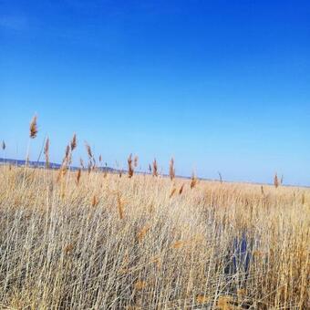 Apartamento Kirschbluetenappartements