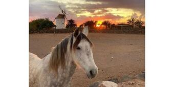 Villa Cowboy Cottage With Sea View