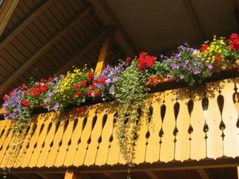 Apartamento Haus Morgensonne