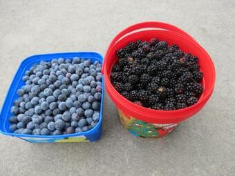 Bed & Breakfast 2b Truffle Cottage