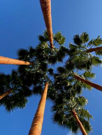 Hostal El Botanico De Sagra