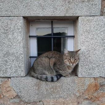 Apartamento El Serradell Mountain Cottage