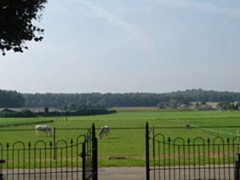 Bed & Breakfast Gastenverblijf De Korenhorst