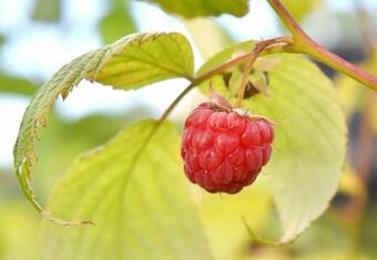 Apartamento Biohof Seifert