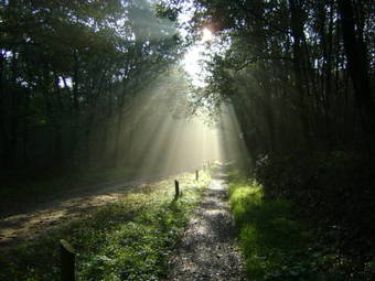 Hotel De Wapser Herberg
