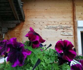 Apartamento Appartements Mitteregghaus