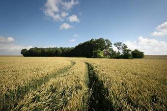 Holiday Home Dollart Sud Finsterwolde