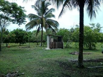 Mama Tina's Vaca Plateau Camping Tents