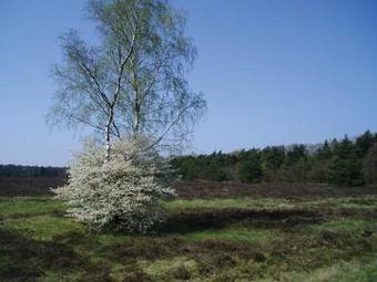 Fletcher Hotel Restaurant De Mallejan