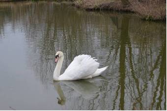 Apartamento Erfgoed & Logies Den Heijkant