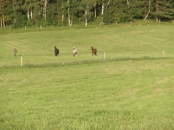 Agroturistika, Ubytov�n� V Soukrom�