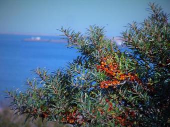 Apartamento Appartement "la Casa"