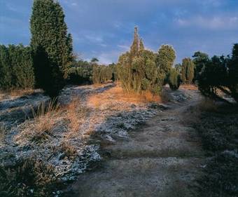 Hotel-restaurant Ruyghe Venne