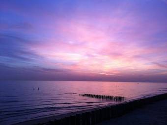 Bed & Breakfast Het Pauwtje