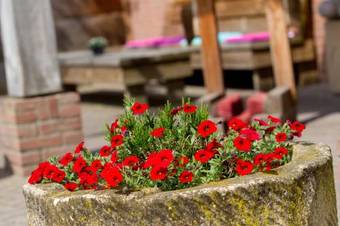 B&B And Hotel Erve Bruggert