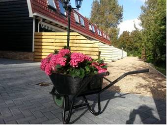 Vakantiewoningen De Schelp