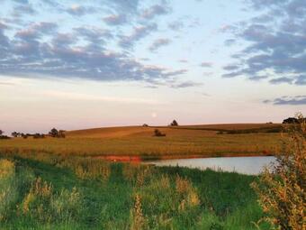 Stawy U Sikory. Agroturystyka I ?owisko