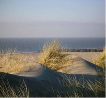 Bed & Breakfast T Laege Uus