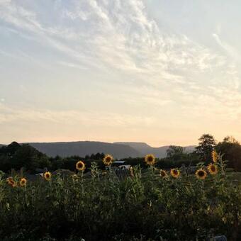 Agroturismo Siedem ?an�w