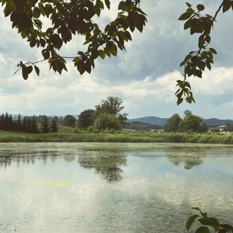 Apartamento Galicyki