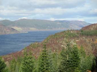 Apartamento Faebuie Cottages