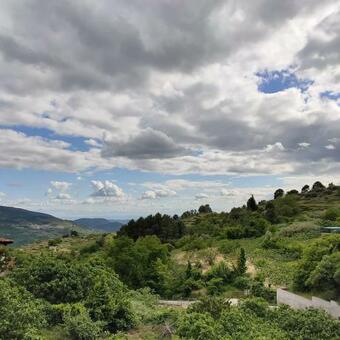 Apartamento Casa Rub�n Dar�o