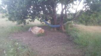 Casa La Paransa - Casa Rural Con Piscina - Relajarse Y Desconectar