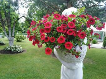 Lodge Mustvee Creek Cottage