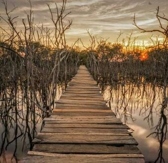 Apartamento Cabinas Iguanas Y Congos