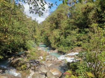 Dreamcatcher House Bus Experience