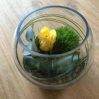 Apartamento Villa Van Brienen - Studio