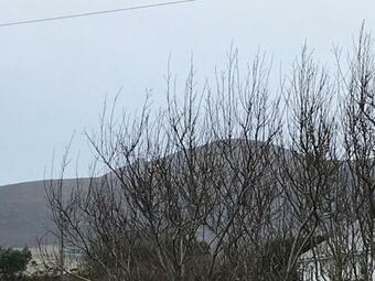 Ocean View One Bedroom Cozy Apartment