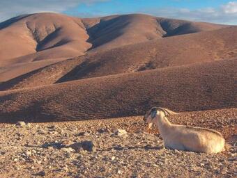 Apartamento Appartement - Aire - Surf & Yoga Villa