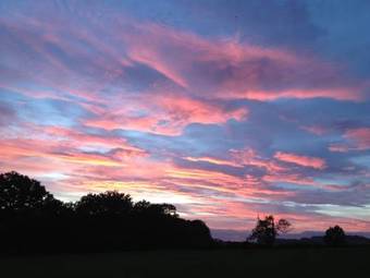 Bed & Breakfast Shepherds Rest Bruton