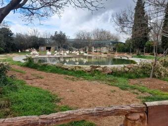 Apartamento Niki Mountain House