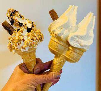 Renovated Miner?s Cottage - Family & Dog Friendly