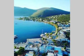 White Villa In Olive Trees And Seaview To Panagia