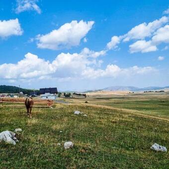 Family House Kostic