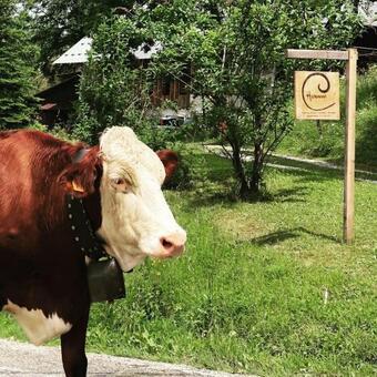 Bed & Breakfast Chapamama