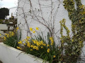 Hostal Harvest Home Guest House And Restaurant