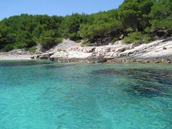 Holiday Home ?ivkovi?