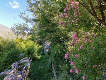 Bed & Breakfast Chambre D'h�tes Couvent D'alando