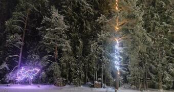 Br?vdienu M?ja Martz Engure