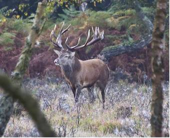 Hostal The East End Arms