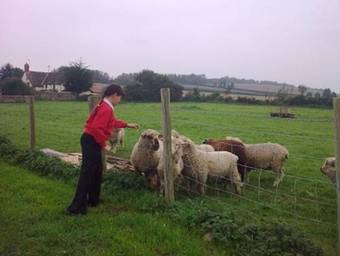 Apartamento Court Farm Holiday Bungalows Ltd