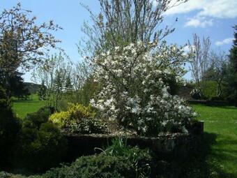 Apartment " Pensch "