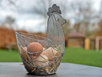 Vakantiewoning De Auw Fotsch