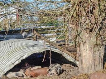 The Hay Barn - Ukc4135