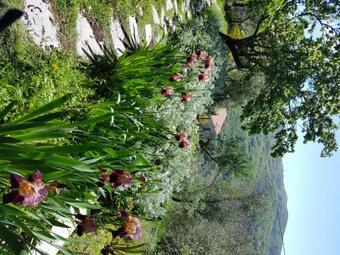 Bed & Breakfast Pietrantica - Affittacamere Con Giardino Nuova Apertura A Trebiano -citr