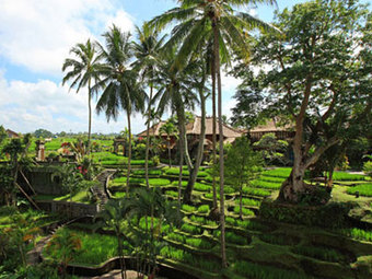 Hotel Kamandalu Resort & Spa